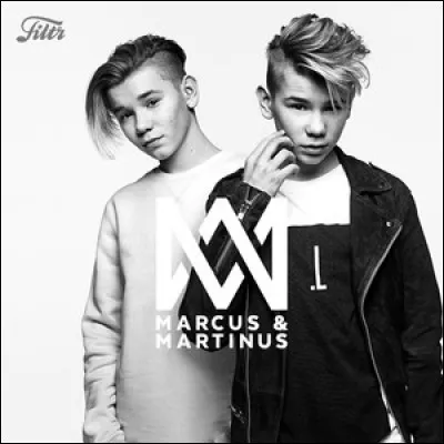 Est-ce que "Bae" est le nom d'une de leurs chansons ?