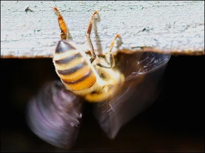 À quoi servent les ventileuses ?