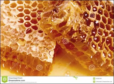 Le miel peut-il se manger avec la cire ?