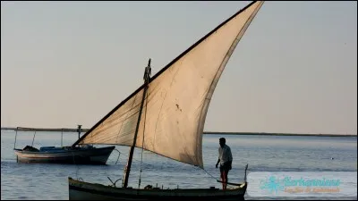 Dans quelle région du globe pourrez-vous trouver les embarcations traditionnelles appelées felouques ?