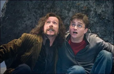 Qui est-il pour Harry ?