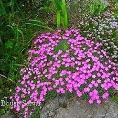 Emballages de plusieurs objets identiques :