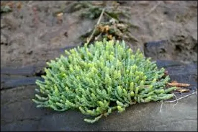 Récompense cinématographique décernée tous les ans à Hollywood :