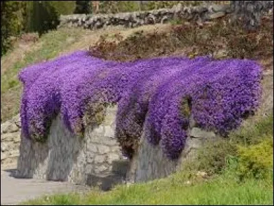 Mot régional (Charente, Vendée). Terrain fertile proche de l'habitation et enclos, servant de potager ou de verger :