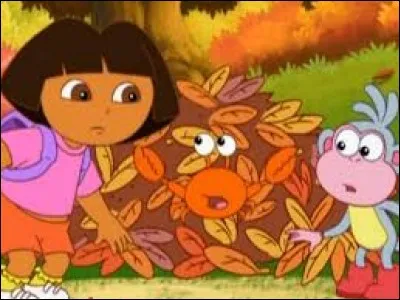 L'automne avec cette jeune fille et son singe ! Retrouvez le nom de ce dessin animé nous apprenant l'anglais !