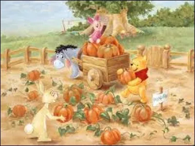 Ils ramassent des citrouilles, sûrement pour :