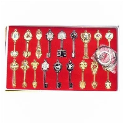 Quel est l'esprit du Verseau ?