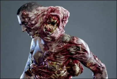 Dans quel(s) chapitre(s) rencontre-t-on des alter ego ?