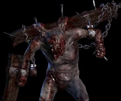 Dans quel(s) chapitre(s) rencontre-t-on des traumatismes ?