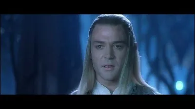 Que dit Celeborn quand ils croisent la Communauté de l'Anneau ?