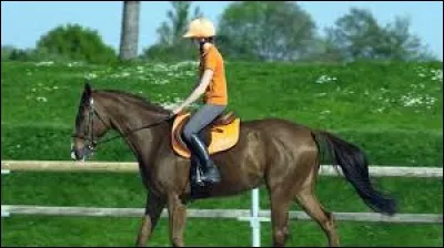 Comment réduire l'amplitude d'une allure ?