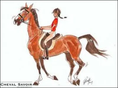 Quelles sont les aides du départ au galop ?