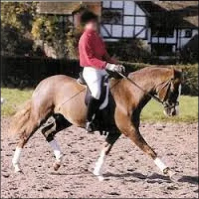 Que signifie "allonger" une allure ?