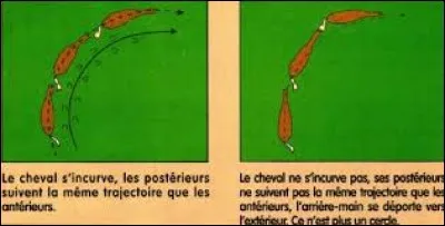 Dans les aides de l'incurvation, à quoi sert la main extérieure et comment agit-elle ?