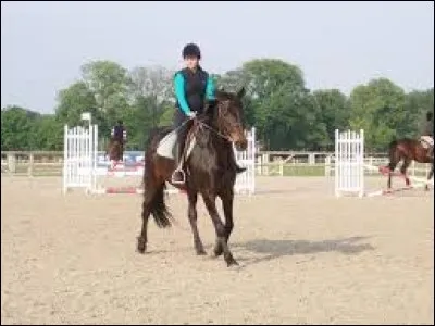 Lorsqu'on déplace les épaules du cheval, à quoi servent les jambes ?