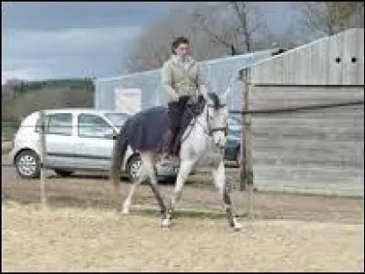Comment déplacer les hanches du cheval ?
