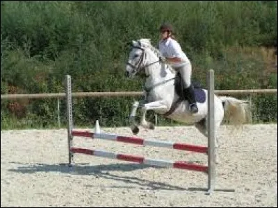 Comment gérer la vitesse du cheval sur un parcours d'obstacles ?
