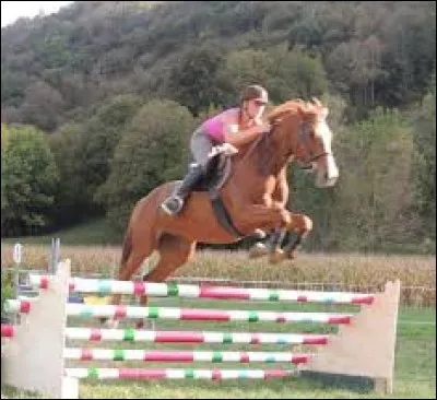 Quels sont les trois types d'obstacles ?