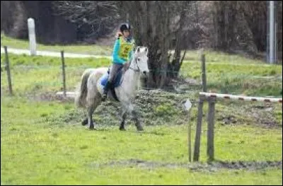 Quelles sont les conditions pour pouvoir galoper en promenade ?