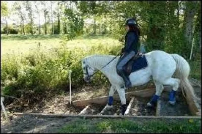 Quelle est la position du cavalier dans une descente ?