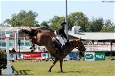 Quelles parties du corps utilise-t-on pour amortir les réceptions d'obstacles, les chocs des allures assises ... ?