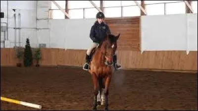 Après avoir obtenu la flexion, qu'est-il important de faire ?