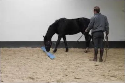 Comment franchir une embûche simple au pas avec un cheval ?