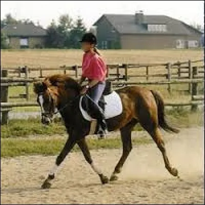 Au trot, que faut-il faire lors des changements de direction ?