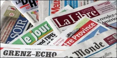 Quel est le pluriel pour "journal" ?