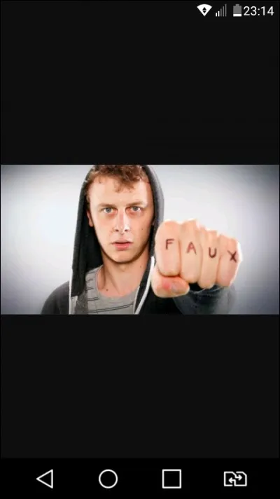 De quel genre sont les vidéos de ce youtubeur ?