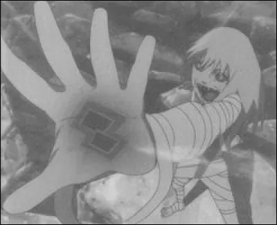 Avec quelle technique Naruto bat-il Hiruko ?