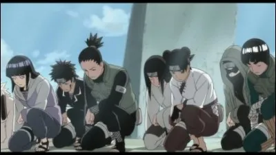 Qui ne fait pas partie de l'équipe chargée de ramener Naruto et Sakura ?