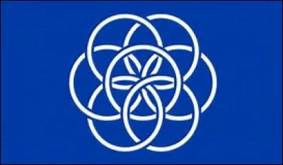 Voici le drapeau du Fort Boyard !