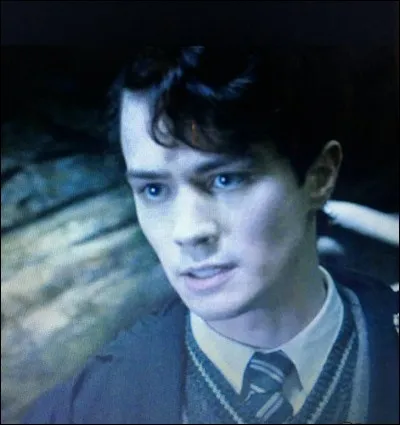 Avec quoi Harry détruit-il le journal de Tom Jedusor ?