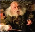 Professeur  Poudlard.