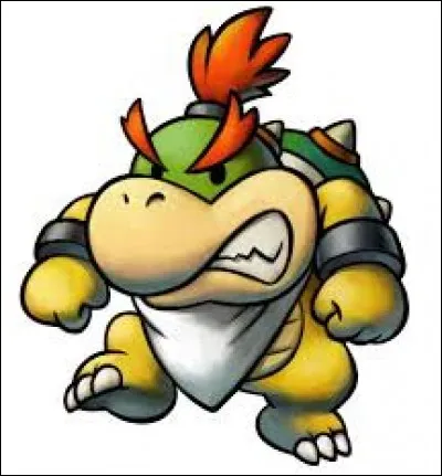 À quel moment du jeu croise-t-on Bowser Jr ?