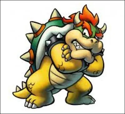 Quel est le premier ennemi de Bowser quand il est géant ?