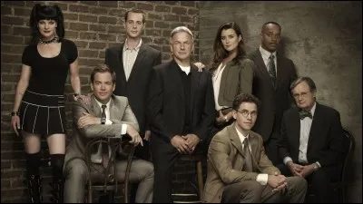 Si je vous dis Gibbs, Abby, DiNozzo, Ziva et McGee, vous penserez à "NCIS". Quel type de femmes Gibbs préfère-t-il ?