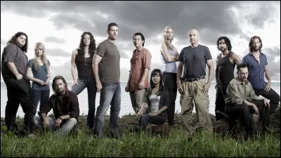 Si vous avez envie de vous égarez, je vous conseille "Lost : Les Disparus". Quel est le numéro du vol qui s'est crashé ?