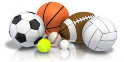 Quel sport ne feras-tu jamais ?