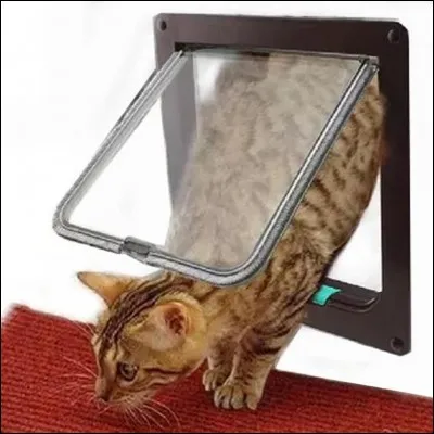 Qui a invent&eacute; la chati&egrave;re, une ouverture pratiqu&eacute;e dans une porte afin de laisser passer les chats ?