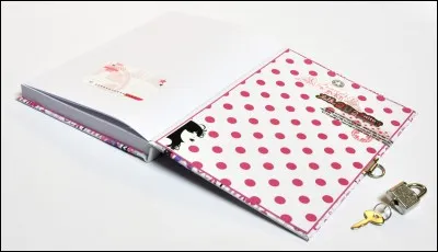 Quel journal intime aimes-tu le plus ?