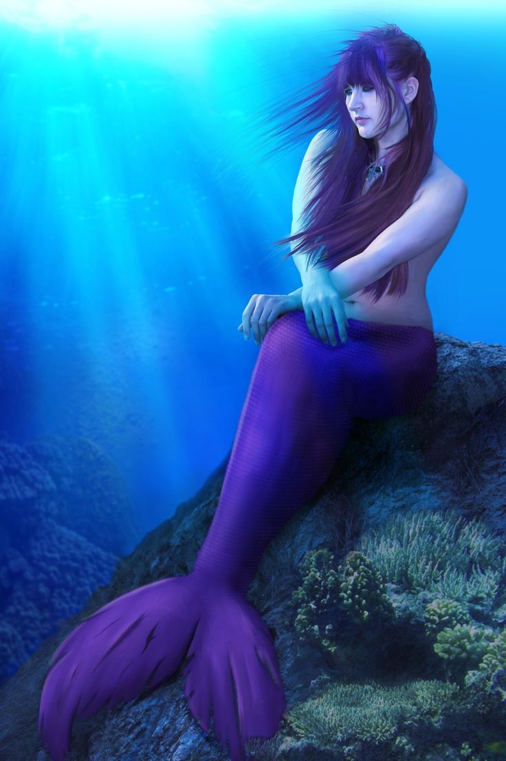 Sirène : un thème fantastique à l'effigie de la créature légendaire - Je  Fête