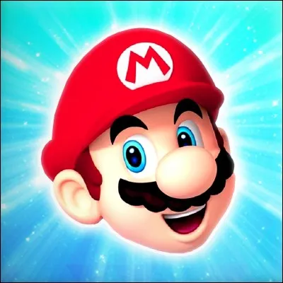 Mario est considéré comme :