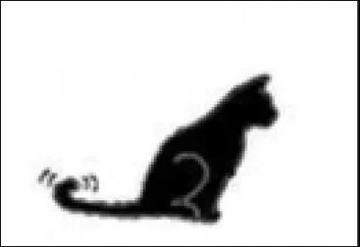 Qu'indique le petit mouvement brusque de la queue ?