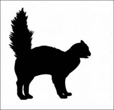 Qu'est-ce que ça veut dire ?