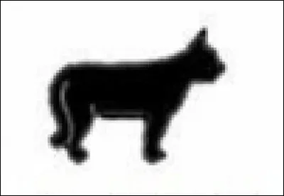 Qu'est-ce que ça veut dire ?