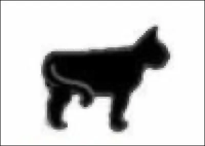 Qu'est-ce que ça veut dire ?