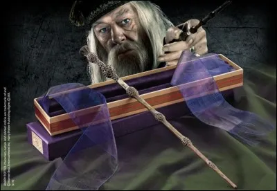 Albus Dumbledore, le directeur de l'école de Poudlard, a la plus puissante baguette au monde. Quel est son nom ?