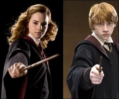 Quels sont les deux grands liens d'Hermione Granger et Ron Weasley ?